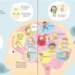 look inside your body book brain